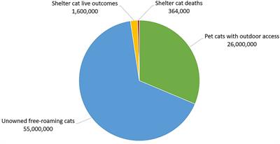 Rethinking the Animal Shelter's Role in Free-Roaming Cat Management
